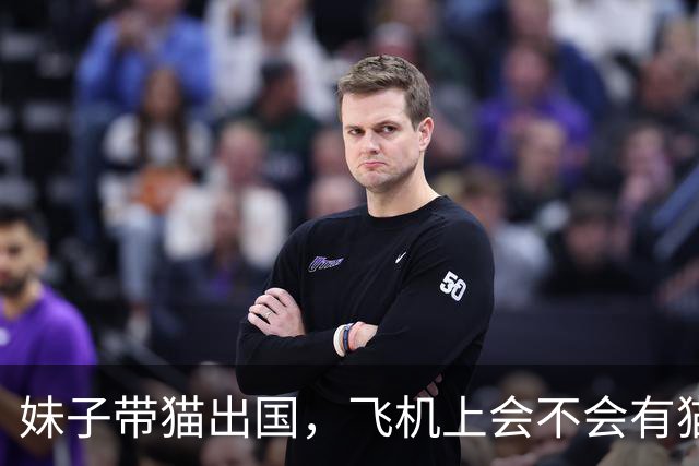 妹子带猫出国，飞机上会不会有猫咪的“紧急情况”？